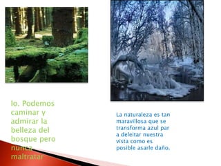 lo. Podemos caminar y admirar la belleza del bosque pero nunca  maltratarLa naturaleza es tan maravillosa que se transforma azul par a deleitar nuestra vista como es posible asarle daño.  