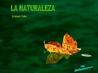 LA NATURALEZA  Eckhart Tolle www. laboutiquedelpowerpoint. com 