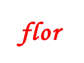 flor 