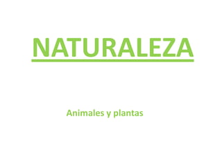 NATURALEZA Animales y plantas 