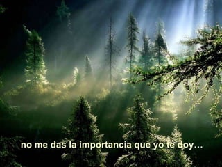 no me das la importancia que yo te doy…
