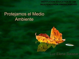 Luz Elena Salazar Protejamos el Medio Ambiente INSTITUCION EDUCATIVA N° 145 INDEPENDENCIA AMERICANA-AID 