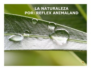 LA NATURALEZA
POR: REFLEX ANIMALAND




                    Page 1
 