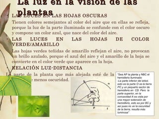 La luz en la visión de las plantas LAS LUCES EN LAS HOJAS OSCURAS Tienen colores semejantes al color del aire que en ellas se refleja, porque la luz de la parte iluminada se confunde con el color oscuro y compone un color azul, que nace del color del aire. LAS LUCES EN LAS HOJAS DE COLOR VERDE/AMARILLO Las hojas verdes teñidas de amarillo reflejan el aire, no provocan un brillo azulado, porque el azul del aire y el amarillo de la hoja se convierte en el color verde que aparece en la hoja. RELACIÓN LUZ-DISTANCIA La parte de la planta que más alejada esté de la tierra, parecerá vestida de menos oscuridad. “ Sea AP la planta y NBC el hemisferio iluminado - La parte inferior del árbol, esto es la parte O ve la tierra PC y un pequeño sector de hemisferio en  CD. Pero  la parte superior, en la concavidad A es vista por una mayor extensión de hemisferio, esto es por BC y así pues no ve la oscuridad de la tierra, resulta más  luminosa” 