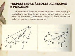 REPRESENTAR ÁRBOLES ALINEADOS O PRÓXIMOS -Recomienda tener en cuenta que visto desde abajo y a contraluz , casi toda la parte superior del primer árbol se verá transparente , luminosa  sobre la parte oscura del árbol segundo y así sucesivamente. 