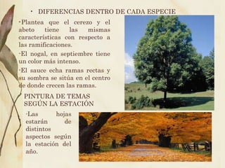- Plantea que el cerezo y el abeto tiene las mismas características con respecto a las ramificaciones. -El nogal, en septiembre tiene un color más intenso. -El sauce echa ramas rectas y su sombra se sitúa en el centro de donde crecen las ramas. DIFERENCIAS DENTRO DE CADA ESPECIE PINTURA DE TEMAS SEGÚN LA ESTACIÓN - Las hojas estarán de distintos aspectos según la estación del año. 