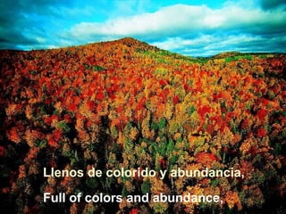 Llenos de colorido y abundancia, Full of colors and abundance, 