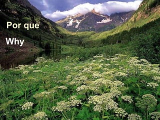 Why  Por que 