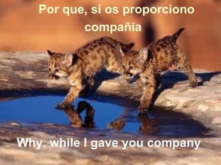 Why, while I gave you company   Por que, si os proporciono compañia  
