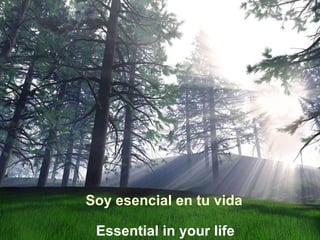 Soy esencial en tu vida Essential in your life 