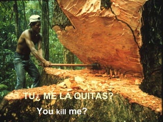 You  kill  me? TU¿ ME LA QUlTAS? 