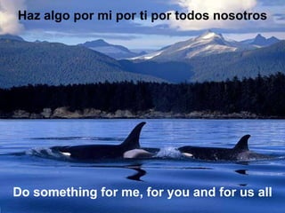 Haz algo por mi por ti por todos nosotros Do something for me, for you and for us all 