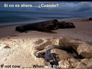 Si no es ahora…..¿Cuando? If not now  .........When  will that be? 