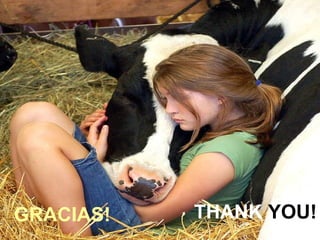 GRACIAS! THANK  YOU! 