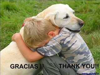 GRACIAS !! THANK YOU!! 