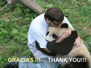 GRACIAS !!! THANK YOU!!! 
