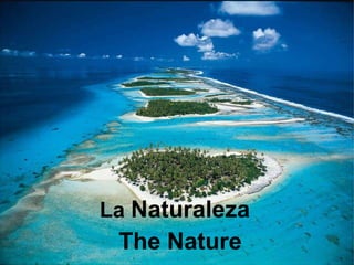 The Nature La  Naturaleza 