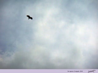 ©
De regreso. Envigado. 2010
 