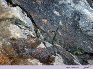 ©
Piedras. Envigado .2010
 