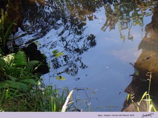 ©
Agua . Espejos. Carmen del Viboral. 2010
 