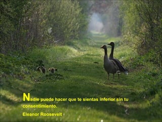 N adie puede hacer que te sientas inferior sin tu consentimiento. Eleanor Roosevelt 