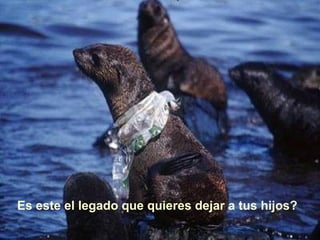 Es este el legado que quieres dejar a tus hijos?