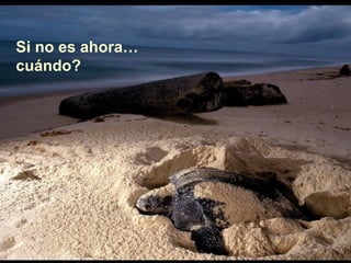 Si no es ahora…
cuándo?