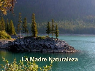 La Madre Naturaleza
La Madre Naturaleza