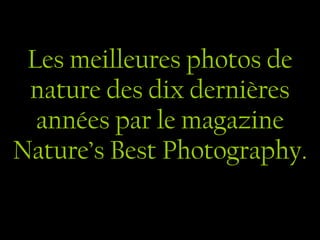 Les meilleures photos de nature des dix dernières années par le magazine Nature’s Best Photography. 