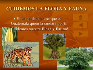 CUIDEMOS LA FLORA Y FAUNA Si no cuidas tu casa que es Guatemala quien la cuidara por ti. ¡Cuidemos nuestra  Flora y Fauna ! 