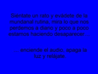 Siéntate un rato y evádete de la mundanal rutina, mira lo que nos perdemos a diario y poco a poco estamos haciendo desaparecer… … enciende el audio, apaga la luz y relájate.
