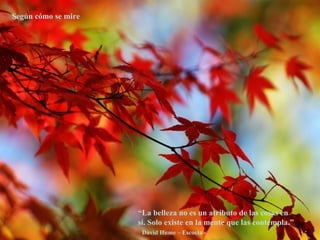 Según cómo se mire “ La belleza no es un atributo de las cosas en sí. Solo existe en la mente que las contempla.”  David Hume – Escocia - 