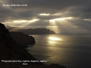 “ Programa para hoy: espirar, inspirar, espirar.”  -Buda- EL DIA POR DELANTE 