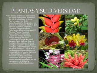 Posee mucha diversidad en cuanto a
sus selvas.Es hogar de no menos
del 5% de plantas en la tierra.
Para la protección de la
fauna, Ecuador ha designado a no
menos de 11 parques y reservas que
abarcan la cuenca amazónica.
Ellos son: Parque Nacional
Podocarpus, Parque Binacional El
Cóndor, Parque Nacional
Yasuní, Reserva Faunística
Cuyabeno, Parque Nacional
Sangay, Parque Nacional
Llanganates, Parque Nacional
Sumaco-Napo-Galeras, Reserva
Ecológica de Antisana, Reserva
Ecológica Cayambe-Coca, Reserva
Ecológica Cofán Bermejo y Parque
Nacional Biológico Limoncocha.
Los dos parques que están mejor
conservados con bosque nativo de
la Amazonía son el Parque
Nacional Yasuní y la Reserva
Faunística Cuyabeno, ambos
puntos son muy populares por sus
excursiones a la selva y la
observación de la vida silvestre.
 