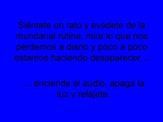 Siéntate un rato y evádete de la
mundanal rutina, mira lo que nos
perdemos a diario y poco a poco
estamos haciendo desaparecer…
… enciende el audio, apaga la
luz y relájate.