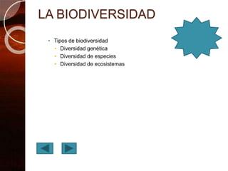 LA BIODIVERSIDAD
• Tipos de biodiversidad
• Diversidad genética
• Diversidad de especies
• Diversidad de ecosistemas
 
