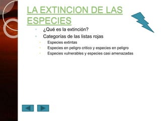 LA EXTINCION DE LAS
ESPECIES
◦ ¿Qué es la extinción?
◦ Categorías de las listas rojas
 Especies extintas
 Especies en peligro critico y especies en peligro
 Especies vulnerables y especies casi amenazadas
 