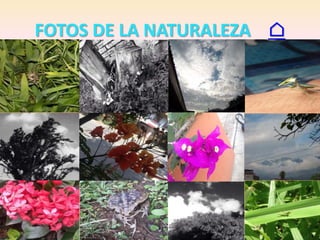 FOTOS DE LA NATURALEZA ⌂
 