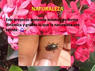 NATURALEZA
Este proyecto pretende mostrar de forma
dinámica y gráfica lo que la naturaleza nos
brinda. ⌂
 