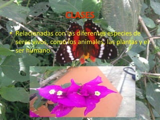 CLASES
• Relacionadas con las diferentes especies de
seres vivos, como los animales, las plantas y el
ser humano.
 