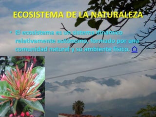 ECOSISTEMA DE LA NATURALEZA
• El ecosistema es un sistema dinámico
relativamente autónomo, formado por una
comunidad natural y su ambiente físico. ⌂
 