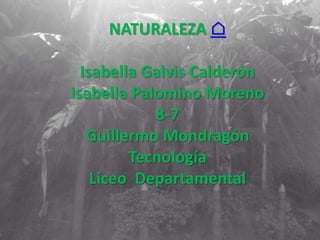 NATURALEZA ⌂
Isabella Galvis Calderón
Isabella Palomino Moreno
8-7
Guillermo Mondragón
Tecnología
Liceo Departamental
 