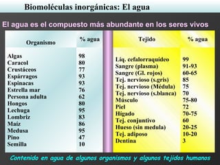 Biomoléculas inorgánicas: El agua
El agua es el compuesto más abundante en los seres vivos
Organismo
% agua Tejido % agua
Algas
Caracol
Crustáceos
Espárragos
Espinacas
Estrella mar
Persona adulta
Hongos
Lechuga
Lombriz
Maíz
Medusa
Pino
Semilla
98
80
77
93
93
76
62
80
95
83
86
95
47
10
Líq. cefalorraquídeo
Sangre (plasma)
Sangre (Gl. rojos)
Tej. nervioso (s.gris)
Tej. nervioso (Médula)
Tej. nervioso (s.blanca)
Músculo
Piel
Hígado
Tej. conjuntivo
Hueso (sin medula)
Tej. adiposo
Dentina
99
91-93
60-65
85
75
70
75-80
72
70-75
60
20-25
10-20
3
Contenido en agua de algunos organismos y algunos tejidos humanos
 