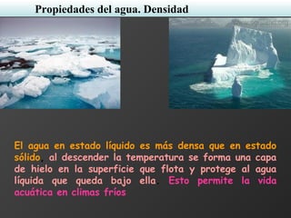 Propiedades del agua. Densidad
El agua en estado líquido es más densa que en estado
sólido, al descender la temperatura se forma una capa
de hielo en la superficie que flota y protege al agua
líquida que queda bajo ella. Esto permite la vida
acuática en climas fríos
 