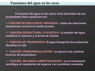Funciones del agua en los seres
Funciones del agua en los seres vivos derivadas de sus
propiedades físico-químicas son:
 FUNCIÓN DE DISOLVENTE UNIVERSAL: todas las reacciones
bioquímicas ocurren en medio acuoso.
 FUNCIÓN ESTRUCTURAL O PLÁSTICA: La presión del agua
mantiene el volumen y la forma de células
 FUNCIÓN DE TRANSPORTE: El agua transporta las sustancias
disueltas en ella.
 FUNCIÓN TERMORREGULADORA: se opone a los cambios
bruscos de temperatura.
 FUNCIÓN MECÁNICA AMORTIGUADORA: en el movimiento
amortigua el rozamiento de órganos con movilidad constante.
 