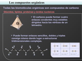  El carbono puede formar cuatro
enlaces covalentes muy estables
dirigidos hacia los vértices de un
tetraedro.
 Puede formar enlaces sencillos, dobles y triples
consigo mismo dando lugar a estructuras
tridimensionales complejas.
Todas las biomoléculas orgánicas son compuestos de carbono
Los compuestos orgánicos
Glúcidos, lípidos, proteínas y ácidos nucleicos
 