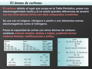 El carbono debido al lugar que ocupa en la Tabla Periódica, posee una
electronegatividad media y al no existir grandes diferencias de tamaño
con los otros átomos forma con ellos compuestos covalentes
Se une con el oxígeno, nitrógeno o azufre o con elementos menos
electronegativos como el hidrógeno.
Posee la capacidad de unirse con otros átomos de carbono
mediante enlaces simples, dobles o triples, pudiendo formar
cadenas lineares, ramificaciones o anillos.
El átomo de carbono
 