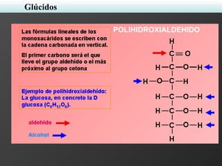 POLIHIDROXIALDEHIDO
Glúcidos
 