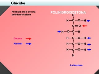 POLIHIDROXICETONA
Glúcidos
 