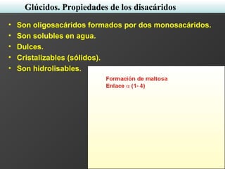 • Son oligosacáridos formados por dos monosacáridos.
• Son solubles en agua.
• Dulces.
• Cristalizables (sólidos).
• Son hidrolisables.
Glúcidos. Propiedades de los disacáridos
 